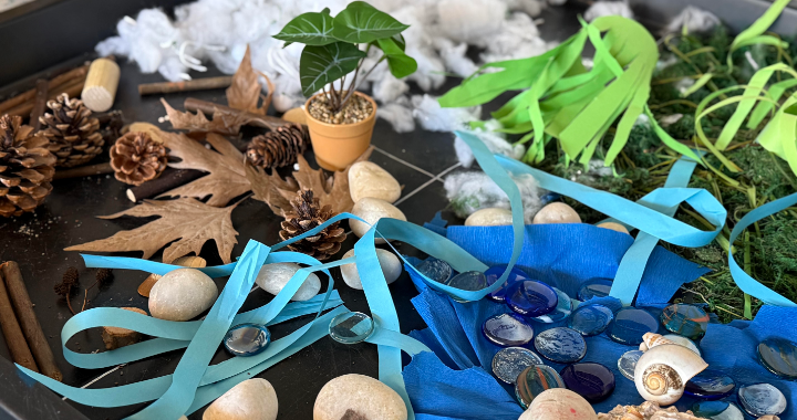 Outdoor learning — gathering natural resources