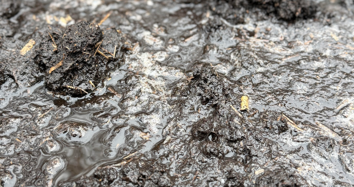 Outdoor learning — squelching through mud