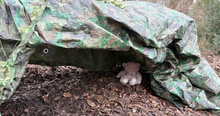Outdoor learning — entering the bear's cave