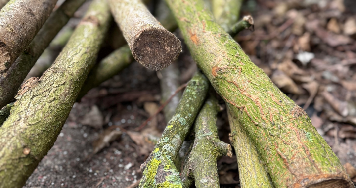 Outdoor learning — stepping over sticks