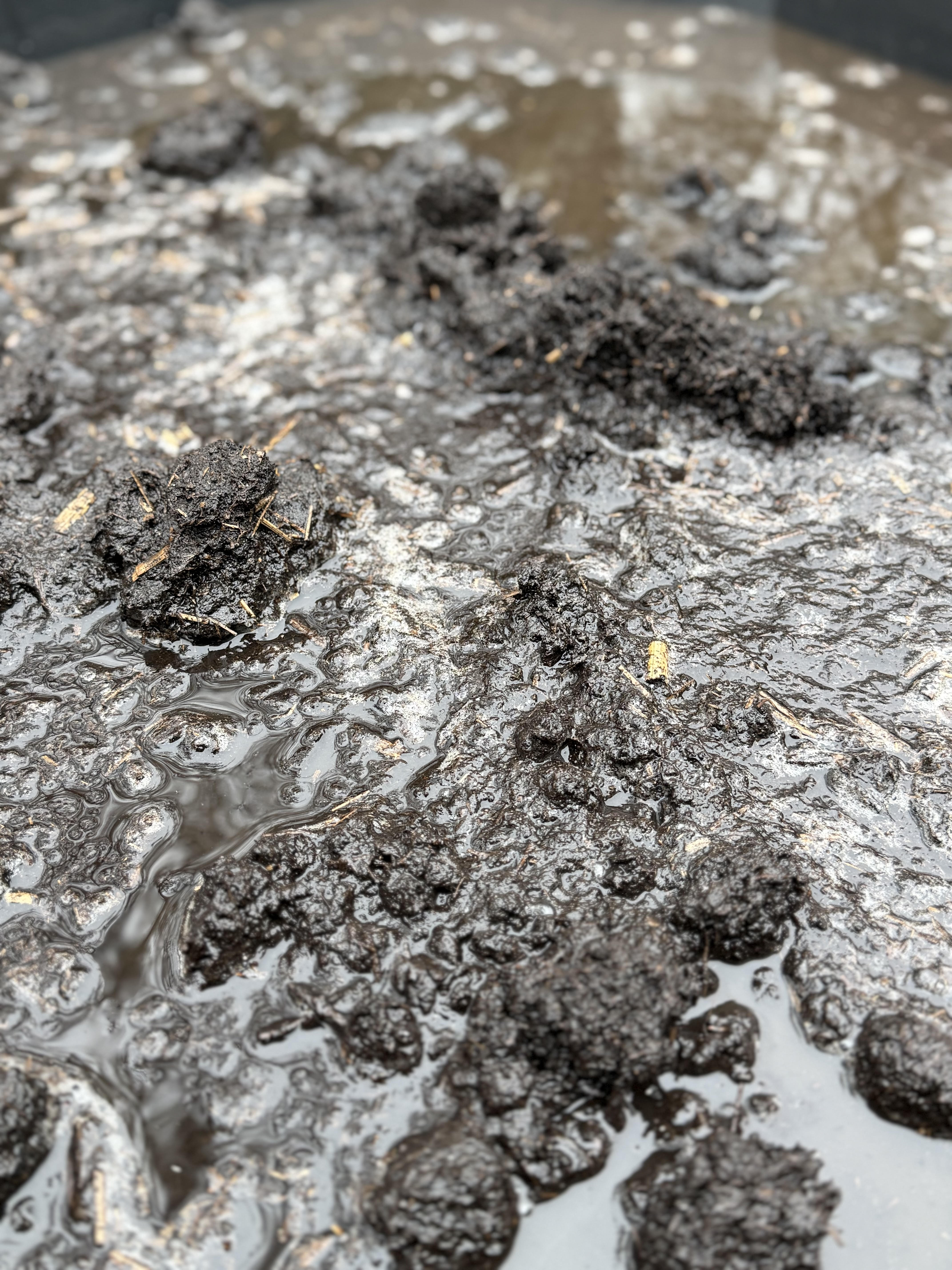Outdoor learning — squelching through mud